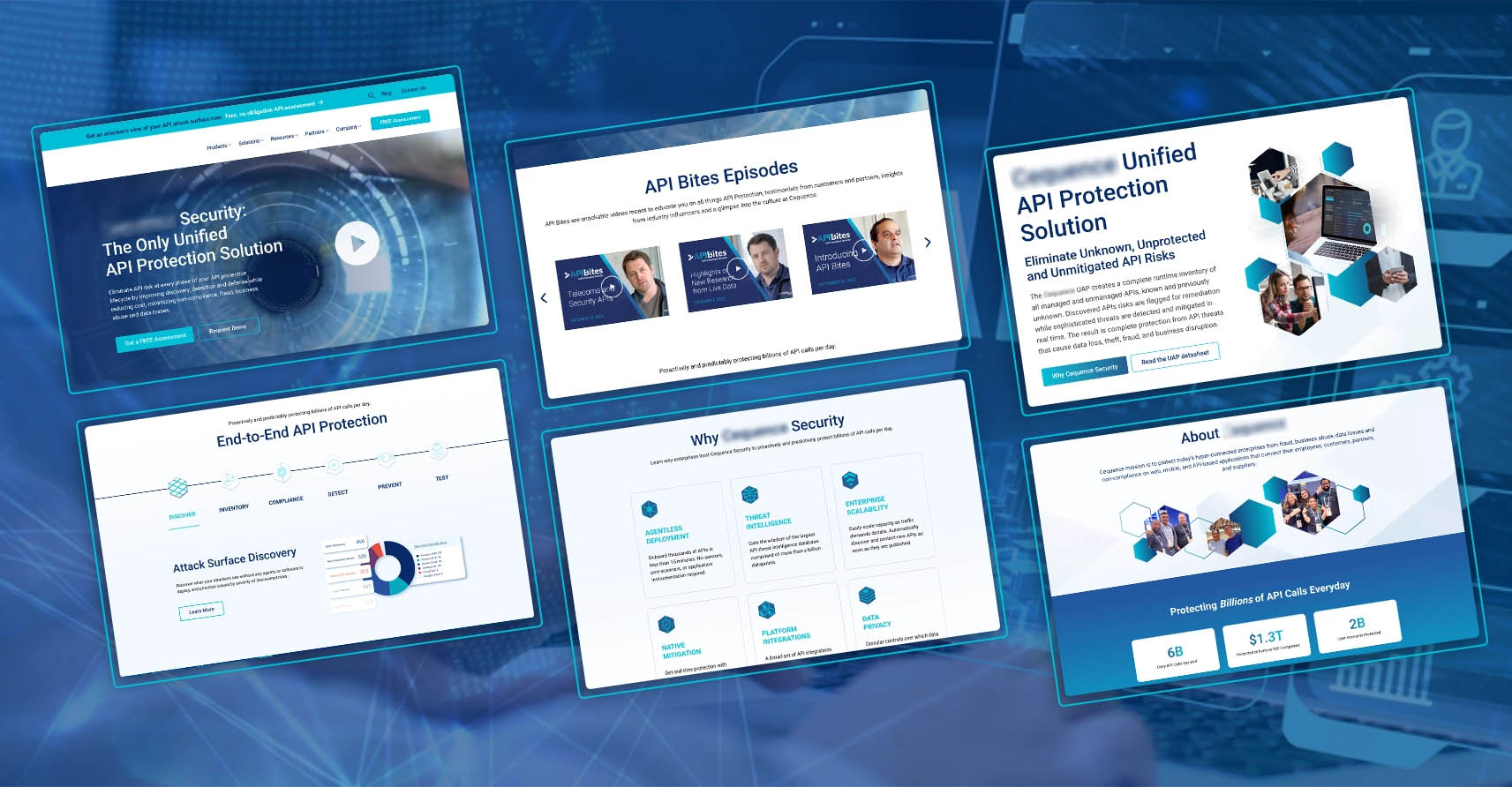 API Protection Solution-results