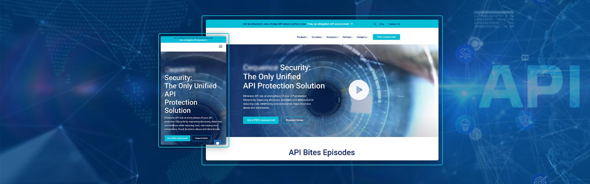 API Protection Solution