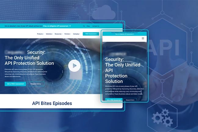 API Security Solutions