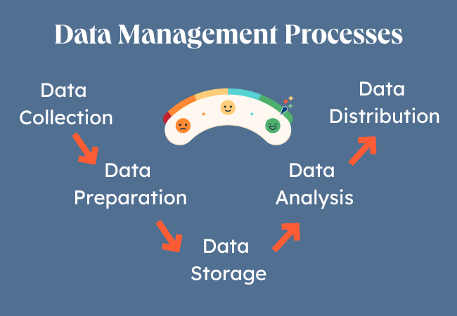 data management processes