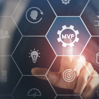 minimum viable product